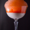 COCKTAIL MAKER - CURSO AVANZADO